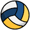 Beach Volleyball Spirit logo
