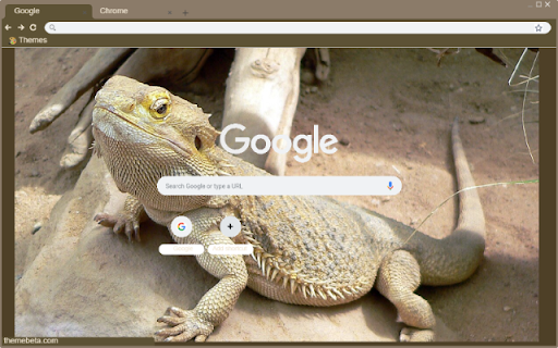 Bearded Dragon screenshot 1