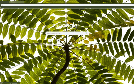 Beautiful Blooming screenshot 1