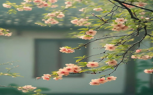 beautiful cherry blossom wallpaper screenshot 1