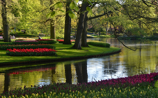 Beautiful green park screenshot 1