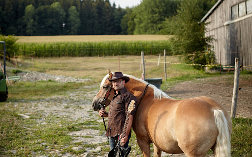 Beautiful Horse screenshot 1