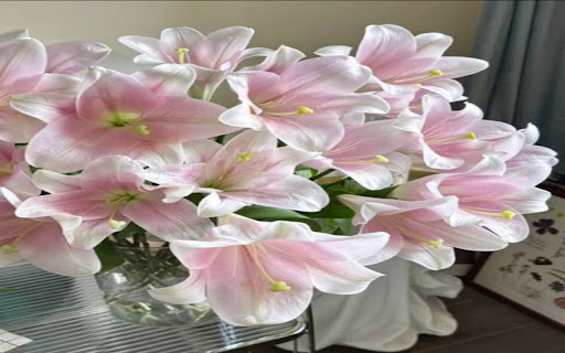 beautiful lily flower wallpaper screenshot 1