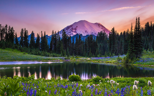 Beautiful nature Wallpaper screenshot 1