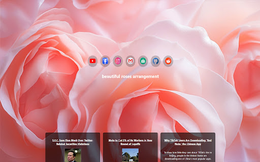 beautiful roses screenshot 1