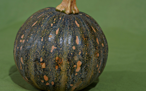 Beautiful round pumpkin screenshot 1