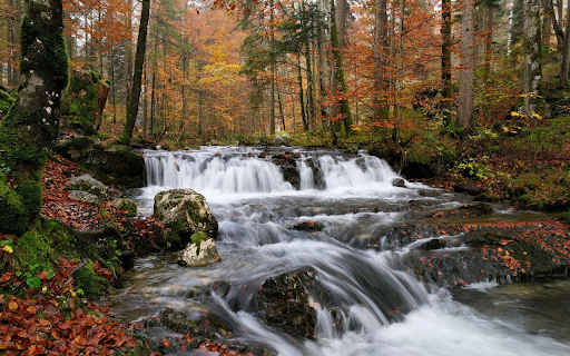 Beautiful stream screenshot 1