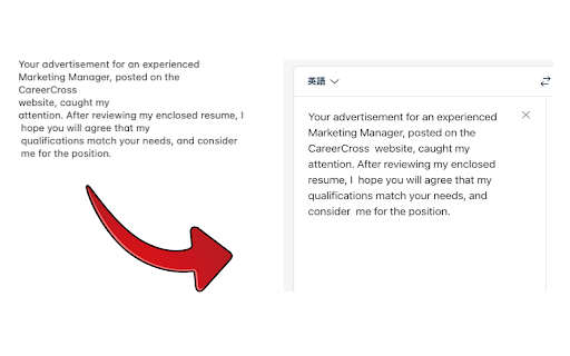 Better Paster for DeepL screenshot 1