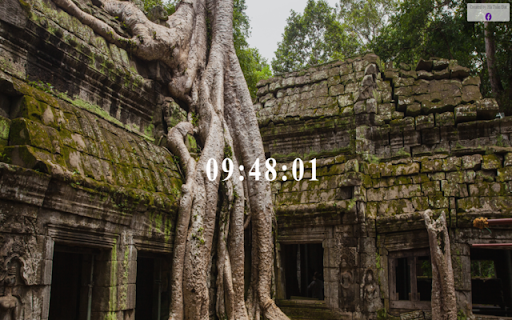 Bia review screenshot 1