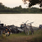 Bicycles and boats by the lake logo