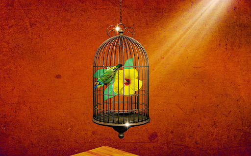 Birds outside flower cages screenshot 1