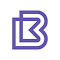 BitBay Chrome theme logo