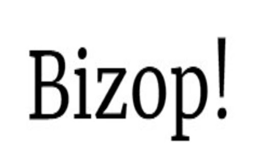 Bizop screenshot 1