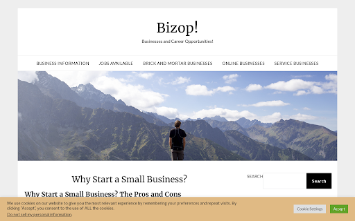 Bizop Grey Background screenshot 1