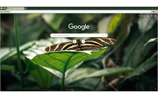 Black and White Butterfly on Green Leaf screenshot 1