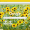 Black-eyed Susan logo