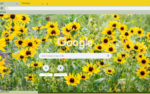 Black-eyed Susan screenshot 1