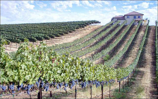 Blacktalon screenshot 1