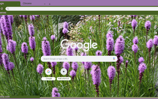 Blazing Star screenshot 1