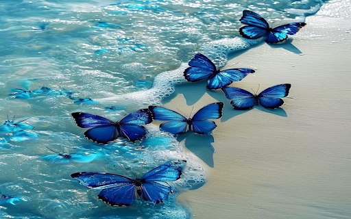 Blue butterfly wallpaper screenshot 1