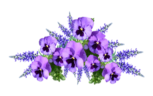 Blue Flower screenshot 1