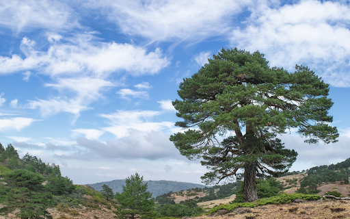 Blue mountains and white clouds screenshot 1