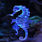 Blue seahorse wallpaper logo