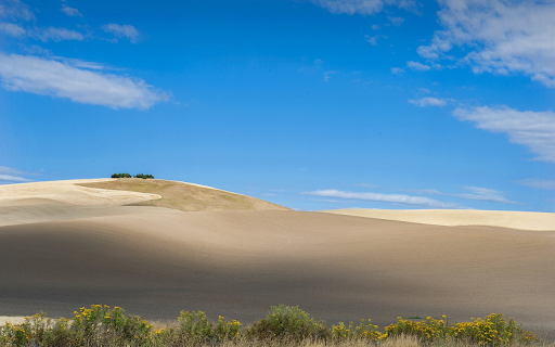 Blue sky and white sand screenshot 1