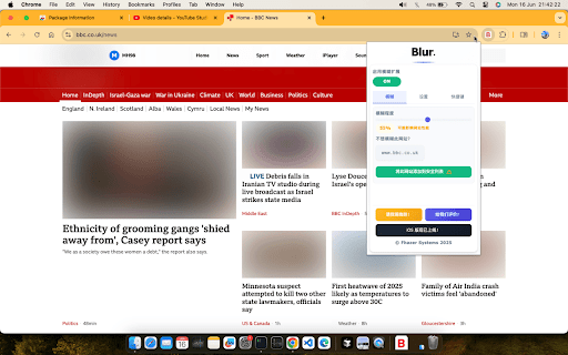 Blur. The Image and Video blur extension screenshot 1