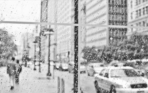 Blutintphotography.com Rainy City B&W screenshot 1