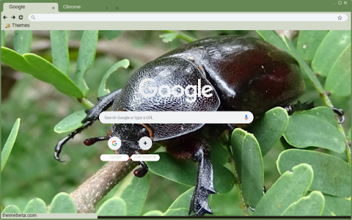 Bo Canh Cung screenshot 1