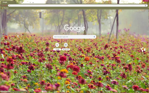 BOSQUE FLORAL screenshot 1