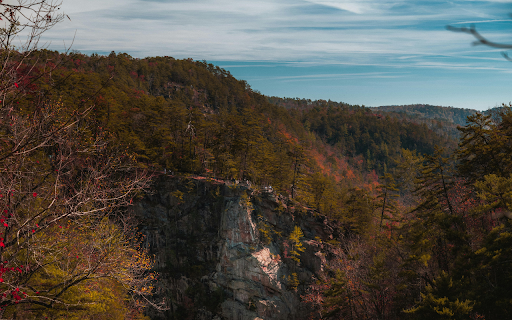 Breathtaking Autumn Landscape View of a Scenic Canyon screenshot 1