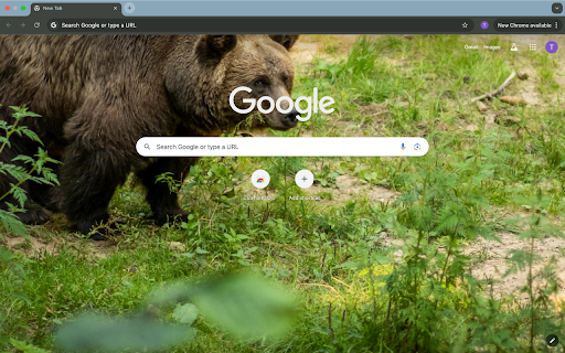 brown bear screenshot 1