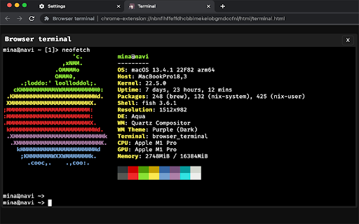 Browser terminal screenshot 1