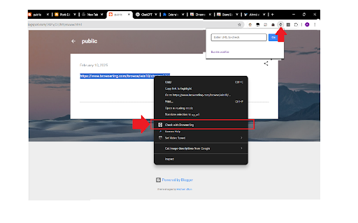 Browserling URL Checker screenshot 1