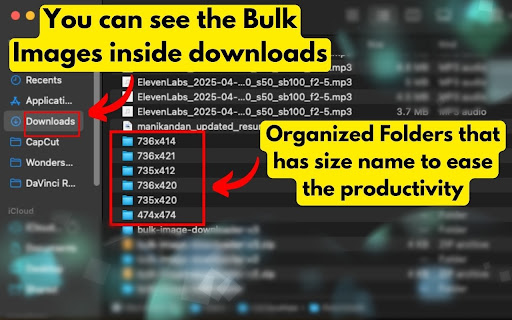Bulk Image Downloader screenshot 1