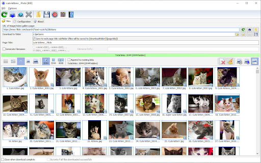 Bulk Image Downloader screenshot 1
