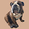 Bulldog Dave logo