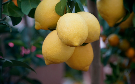 Bunches of lemons screenshot 1