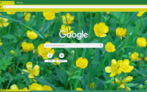 Buttercup screenshot 1