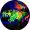 Butterfly Wallpaper logo