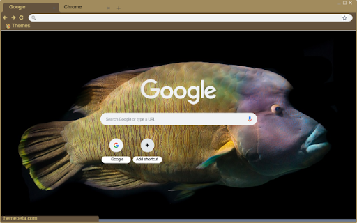 Ca napoleon screenshot 1