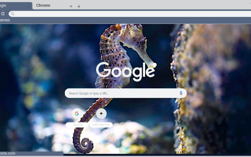 Ca ngua screenshot 1