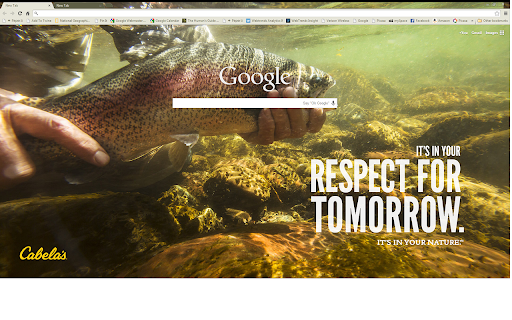 Cabelas_Chrome_Theme screenshot 1