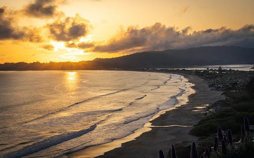 California Life by @tonywithasony screenshot 1