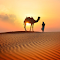 Camel and Sunset logo