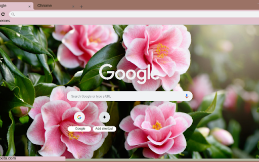 Camellia screenshot 1