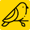 Canary logo