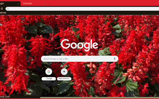 Cardinal Flower screenshot 1